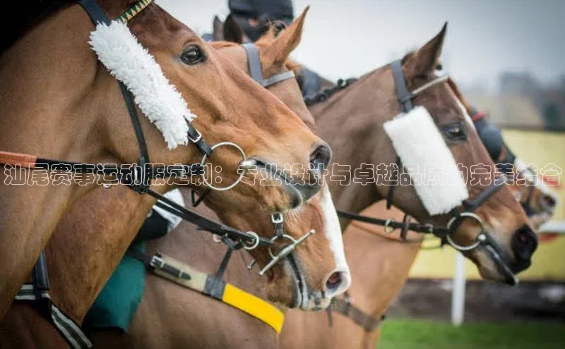 z6mg尊龙官方网站进入