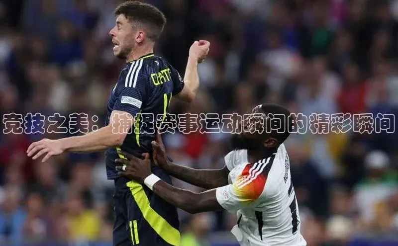 尊龙凯时人生就是搏z6com